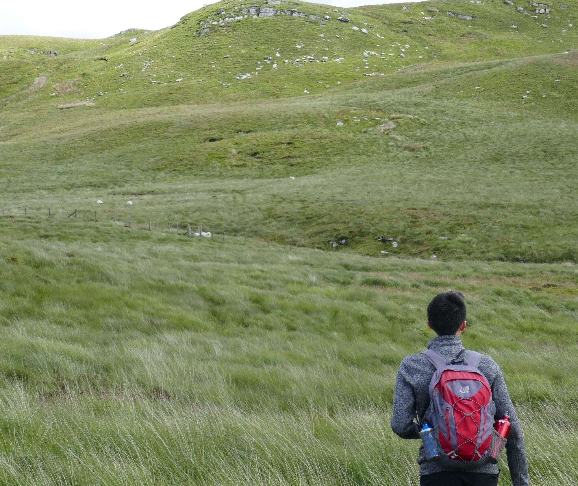 RachelSeabrook.net | Wild Walking | Cwmystwyth | pic43